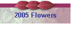 2005 Flowers